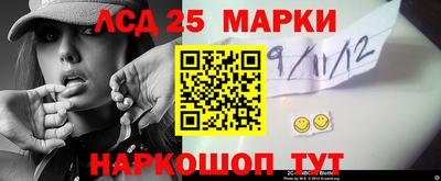 стафф Гай