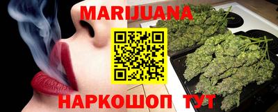 стафф Гай