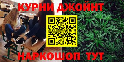 стафф Гай